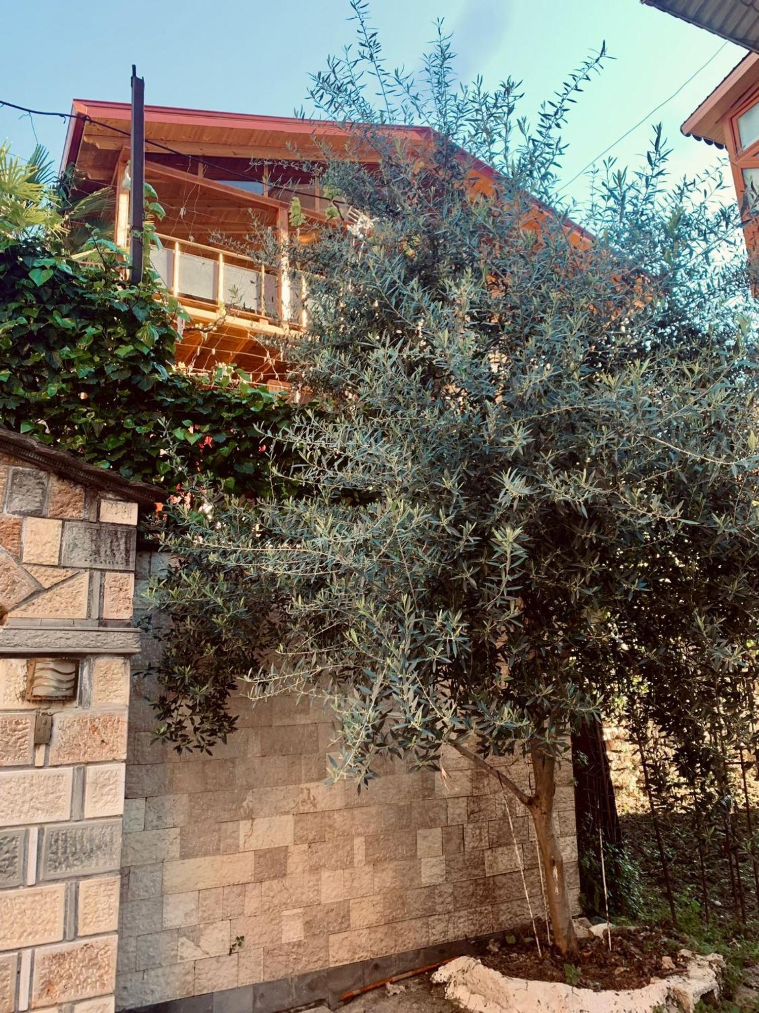 Alimeti Guesthouse Berat Ngoại thất bức ảnh