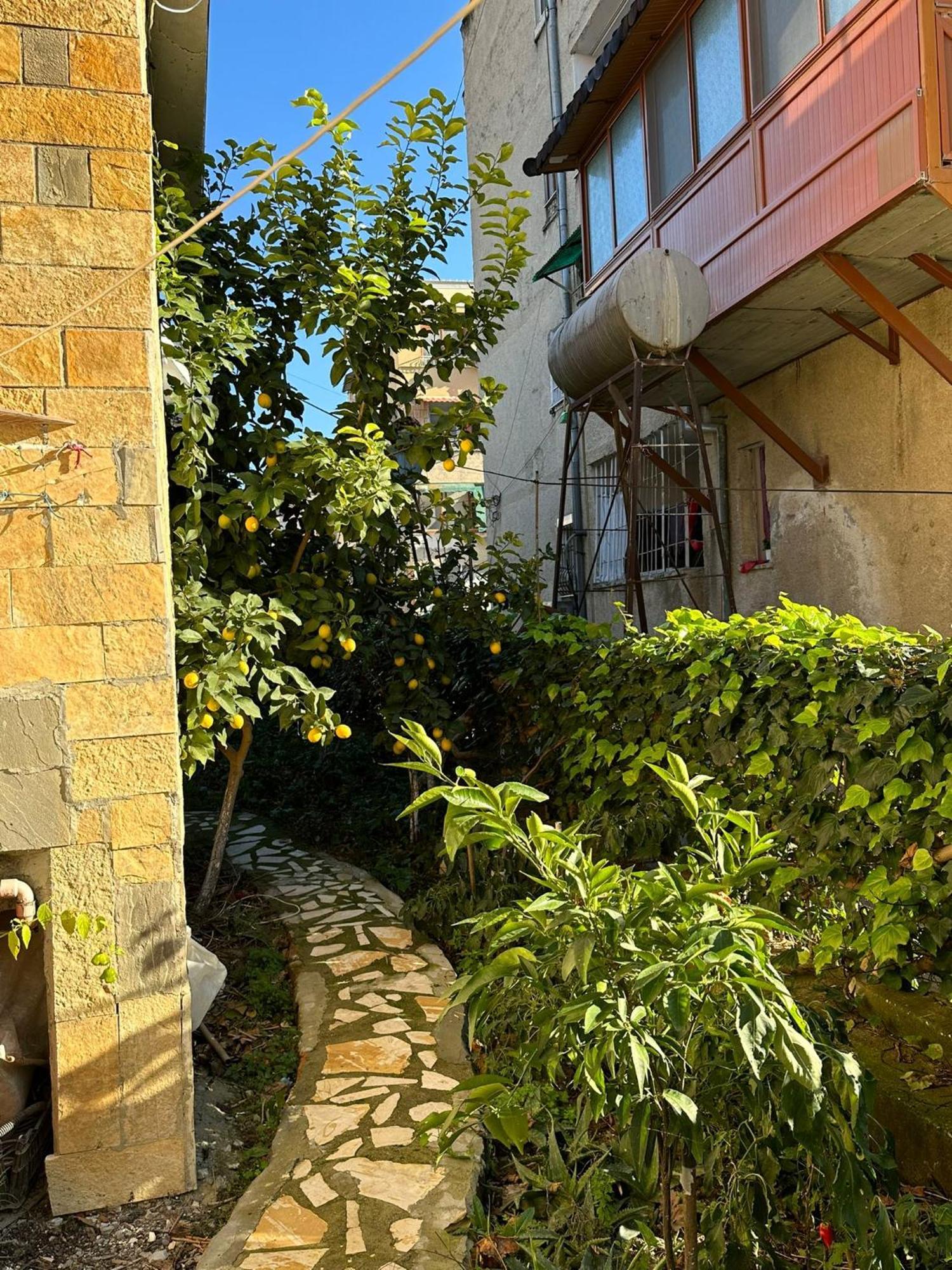 Alimeti Guesthouse Berat Ngoại thất bức ảnh